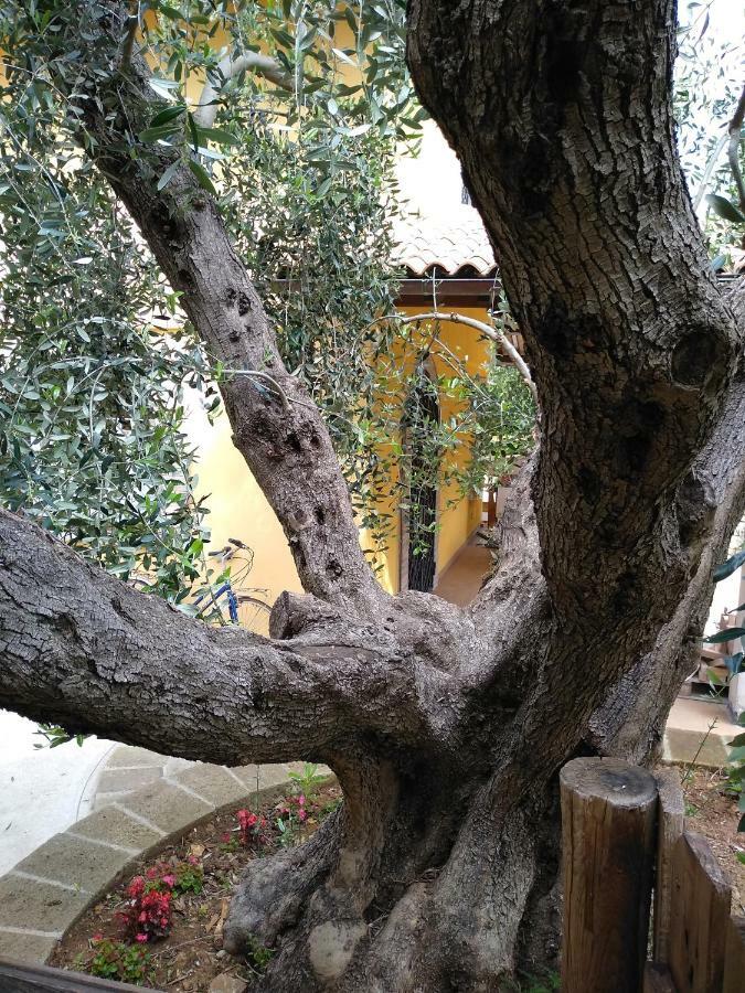 Casavacanze Peperosa Civitavecchia Esterno foto