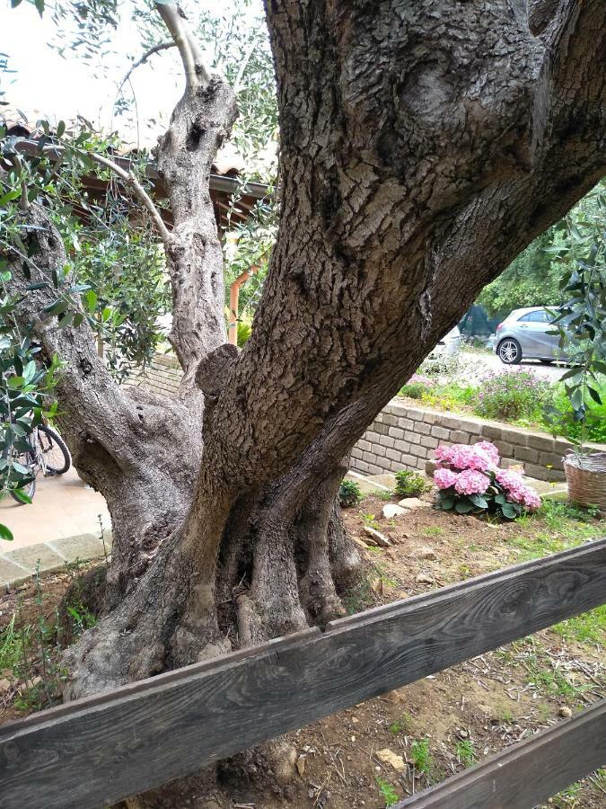 Casavacanze Peperosa Civitavecchia Esterno foto